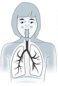 Inhalation Preparations | Pharmlabs